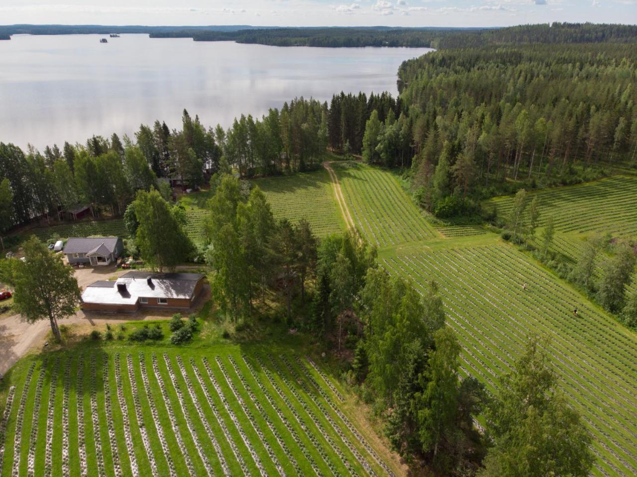 Villa Hiekkarannanlomat Kannonkoski Exterior foto